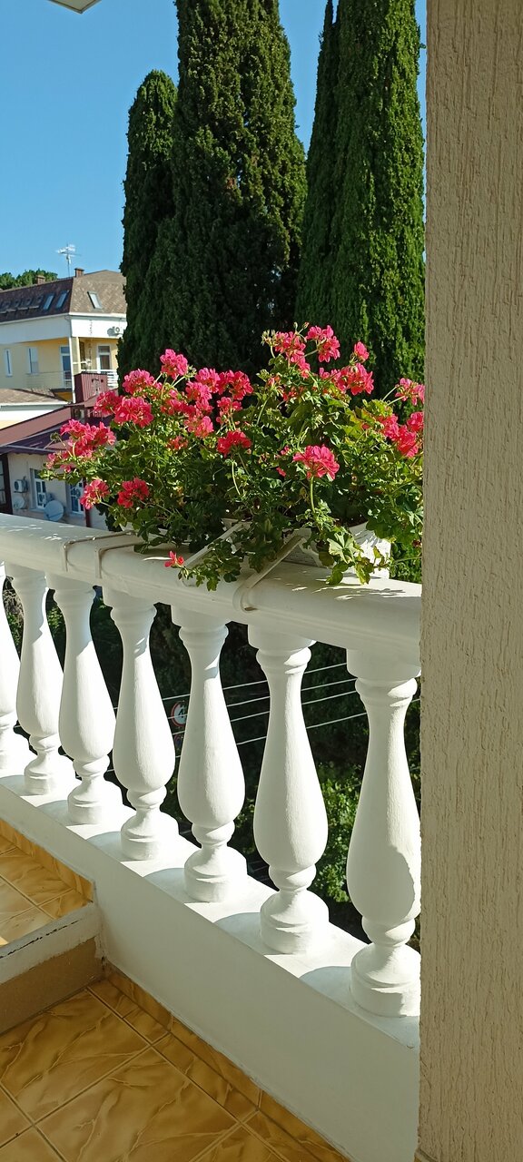 Гостиница Кристина Адлер-45