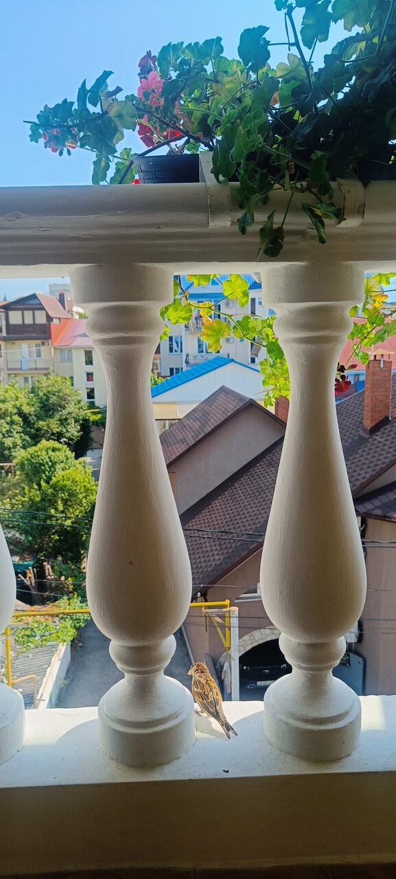 Гостиница Кристина Адлер