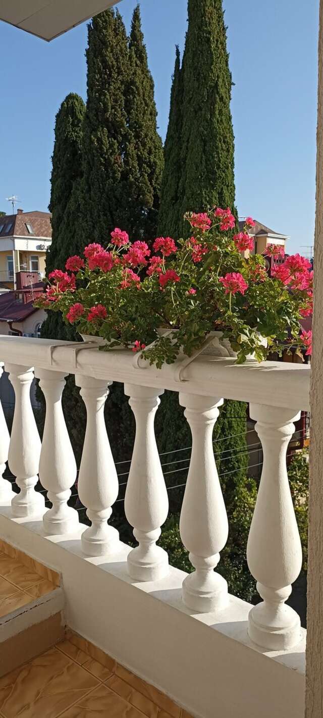 Гостиница Кристина Адлер-31